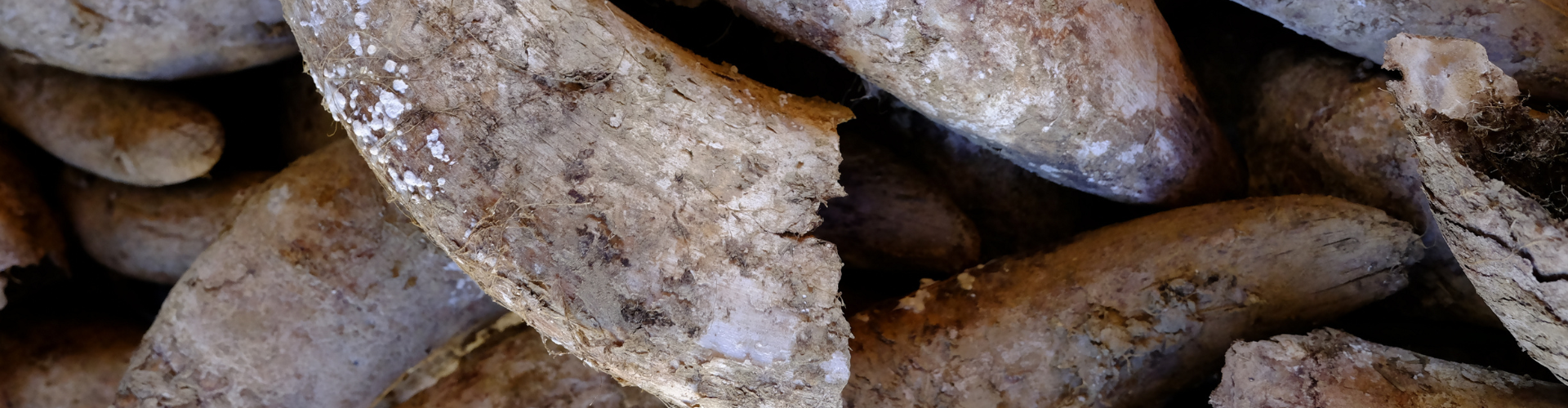 Biodynamic Biodynamic