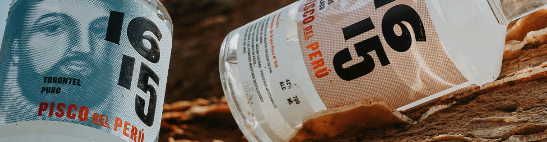 Pisco Pisco