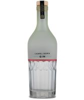 Chapel Down Bacchus Gin