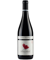 Habrard Crozes-Hermitage Magnum