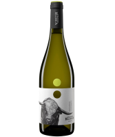 Radica Trebbiano