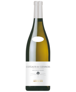 Berthier Domaine de Montbenoit Côteaux du Giennois Blanc