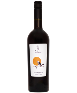 Efrosini Nichtopouli Red