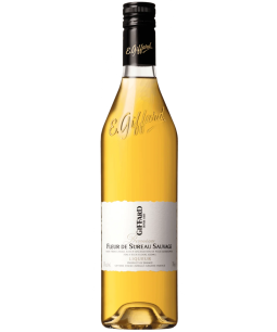 Giffard Fleur de Sureau Sauvage Liqueur