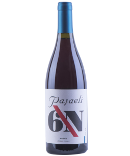 Pasaeli "6N" Karasakiz