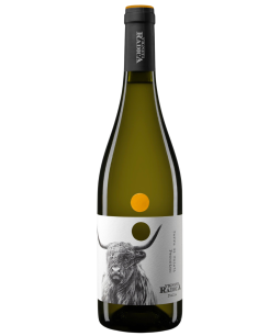Radica Pecorino
