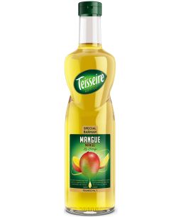 Mathieu Teisseire Mangue Syrup (Mango)
