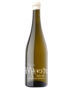 Vignobles Berthier Coteaux de Giennois 'Terre de Silex'
