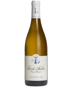 Vincent Latour Saint Aubin Cuvee Thomas
